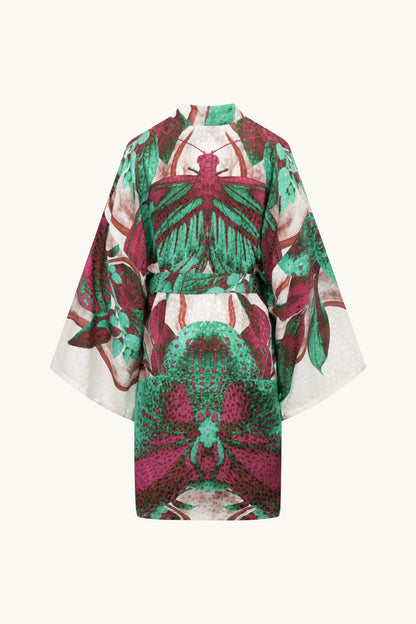 Kimono The light moth